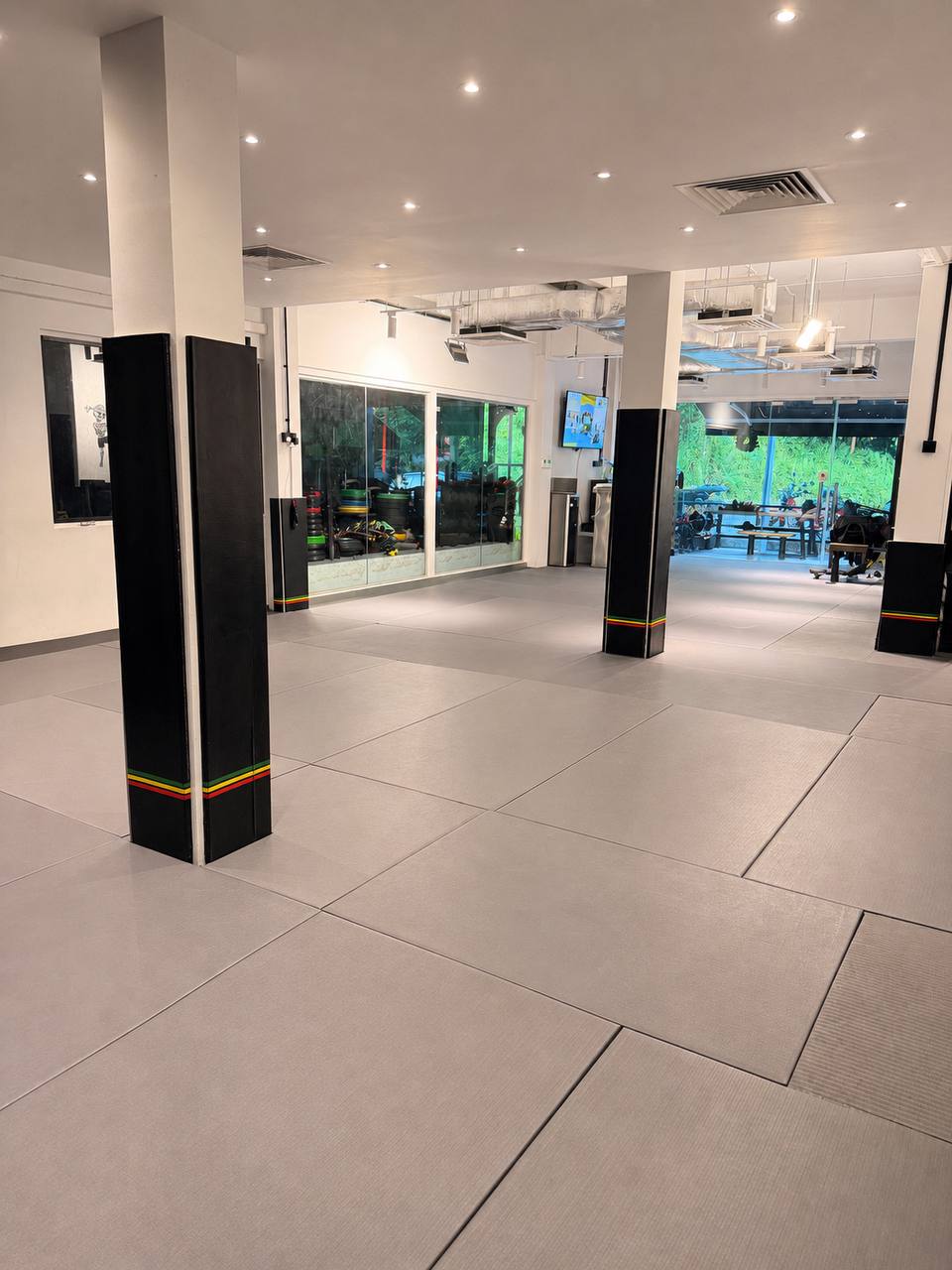 Empty training hall at 78 Rifle Range Road: grey mats, padded columns, and glass looking onto trees.