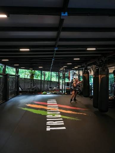 Training hall at 78 Rifle Range Road, with the Tricolor MMA floor mark, hanging bags, and trees beyond the open sides.